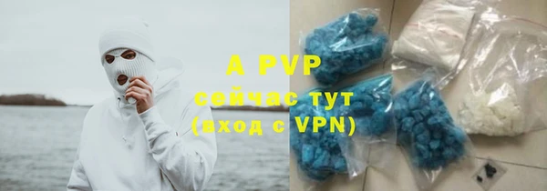 дурь Богданович