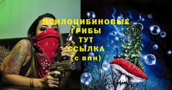 ПСИЛОЦИБИНОВЫЕ ГРИБЫ Беломорск
