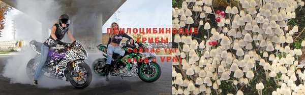 a pvp Белокуриха